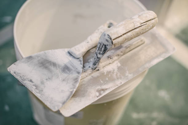 Best Mold Damage Restoration  in Heron Bay, GA